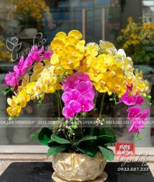 Hoa lụa, hoa giả Uyên shop, CHẬU LAN PHÒNG KHÁCH MIX MÀU