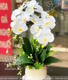 Hoa lụa, hoa giả Uyên shop, Bình Lan Trắng Sang Trọng