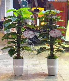 Hoa lụa, hoa giả Uyên shop, Cây Trầu Bà Giả Trang Trí Sảnh, Văn Phòng…