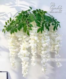 Hoa lụa, hoa giả Uyên shop, Giỏ Hoa Tử Đằng Trắng Treo Tường