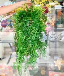 Hoa lụa, hoa giả Uyên shop, Giỏ Lá Xanh Treo Tường