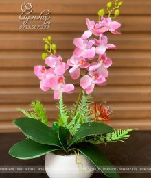 Hoa lụa, hoa giả Uyên shop, Chậu Lan Tiểu Hồ Điệp Nhỏ Để Bàn