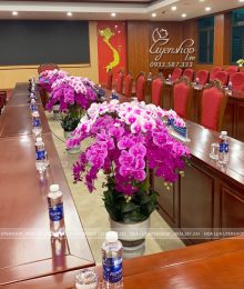 Hoa lụa, hoa giả Uyên shop, Chậu Lan Hồ Điệp Tím Sang Trọng Trang Trí Phòng Họp