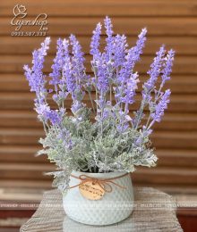 Hoa lụa, hoa giả Uyên shop, Chậu Hoa Lavender Nhỏ Để Bàn