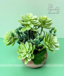 Hoa lụa, hoa giả Uyên shop, Sen Đá Nhỏ Để Bàn