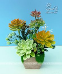 Hoa lụa, hoa giả Uyên shop, Sen Đá Nhỏ Decor