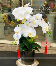 Hoa lụa, hoa giả Uyên shop, Bình Lan Hồ Điệp Trắng