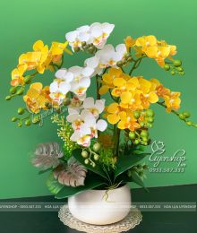 Hoa lụa, hoa giả Uyên shop, Chậu Lan Tiểu Hồ Điệp Vàng