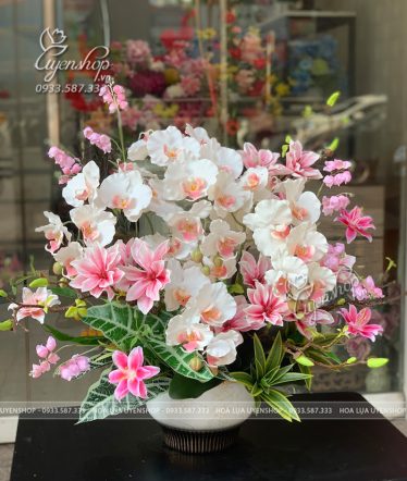 Chậu Lan Hồ Điệp Mix Mộc Lan Tone Hồng Chậu Lan Hồ Điệp Mix Mộc Lan Tone Hồng - Uyên Shop